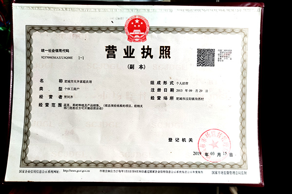 营业执照